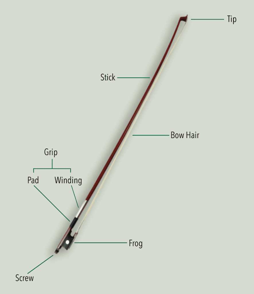 parts of a violin diagram