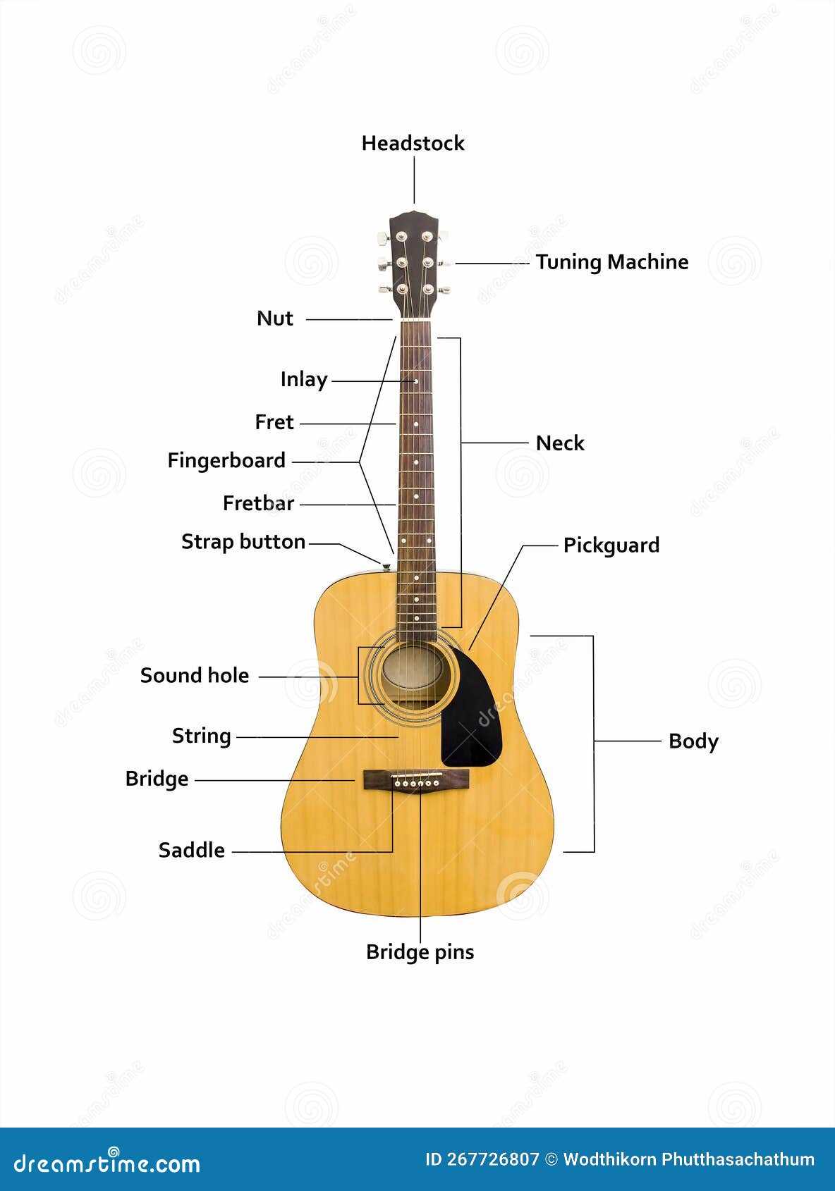 parts of the acoustic guitar diagram