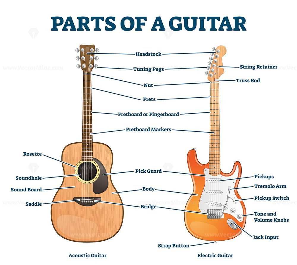 guitar diagram parts