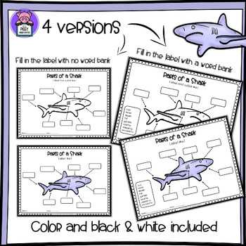 shark parts diagram