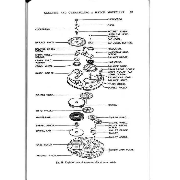 Comprehensive Pocket Watch Parts Diagram for Easy Reference